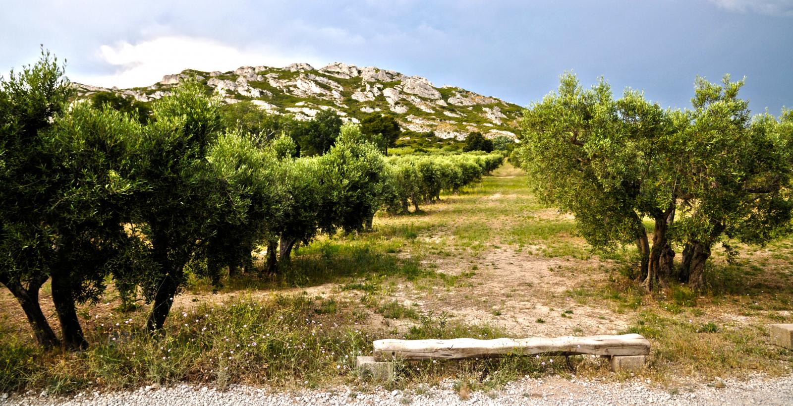 Provence - Mouriès