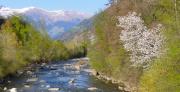 Südtirol - Etsch