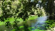 Provence - Sorgue - Fontaine-de-Vaucluse