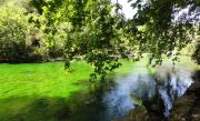 Provence - Sorgue - Fontaine-de-Vaucluse